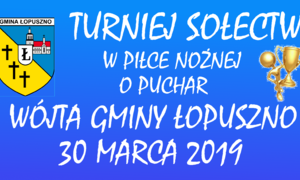 zdjecie na stronie o tytule: Turniej o Puchar Wójta Gminy Łopuszno 2019