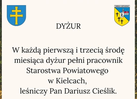 Dyżur leśniczego ds. lasów niepaństwowych