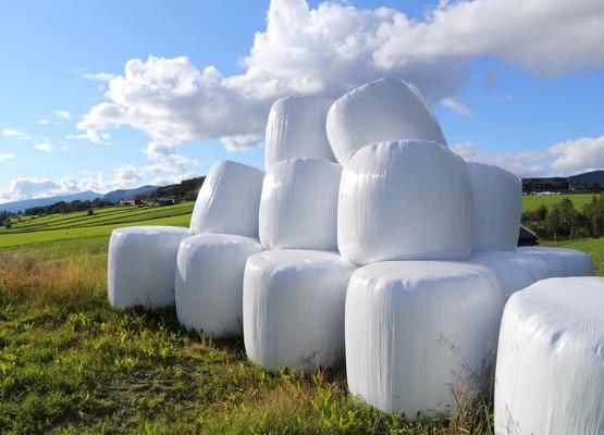 Ogłoszenie - odbiór folii rolniczych!