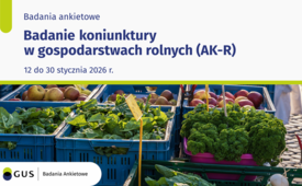Badanie koniunktury w gospodarstwach rolnych (AK-R)