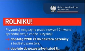 zdjecie na stronie o tytule: Informacja dot. dopłat do zbóż
