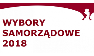 zdjecie na stronie o tytule: Wyniki głosowania w wyborach wójta