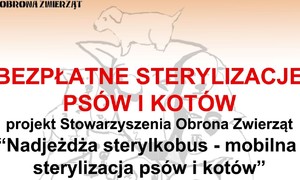 zdjecie na stronie o tytule: Bezpłatna sterylizacja psów i kotów 16.09.2018