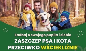 zdjecie na stronie o tytule: Szczepienia psów i kotów przeciwko wściekliźnie