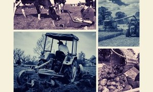 zdjecie na stronie o tytule: Bezpłatne szkolenie dla rolników i osób pracujących w rolnictwie